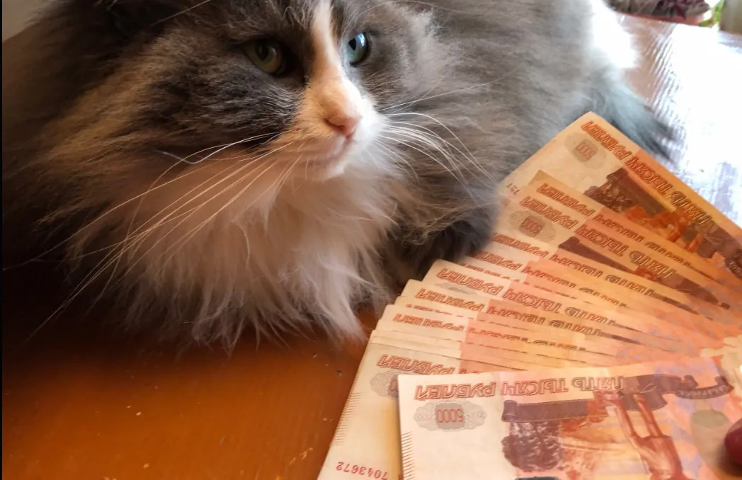 Кому поднимут пенсии в декабре: 3 категории россиян - проверьте, есть ли вы в списке