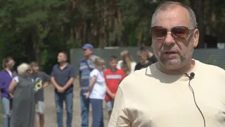 Жители «Соснового бора» рассказали, как вырубают хвойный лес возле их домов