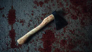 Убийство в Александровском районе: мужчина более 80 раз ударил приятеля топором и отправился спать