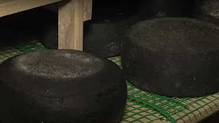 В Крыму начали производить авторский черный сыр