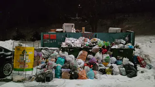 Сити-менеджер Владимира прокомментировал ситуацию с вывозом мусора в городе