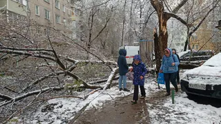 В Рязани на улице Татарской дерево упало на школьницу