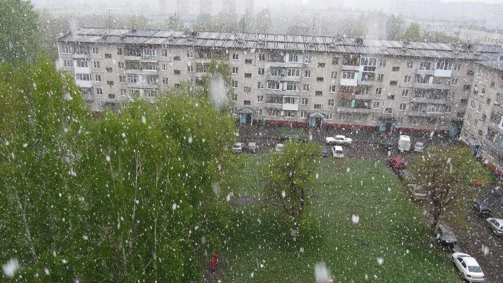 Снег нагрянет неожиданно рано: синоптики назвали точную дату старта зимы