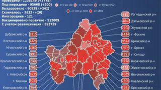 20 брянцев умерли от коронавируса за сутки