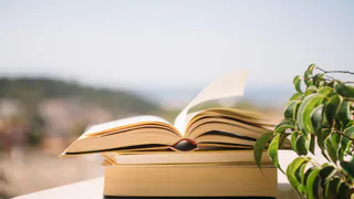 Очень тонкие слова Губермана о женщинах - вот, что он писал