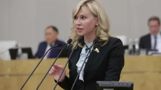 Депутат Стенякина выступила против введения налога на тунеядство