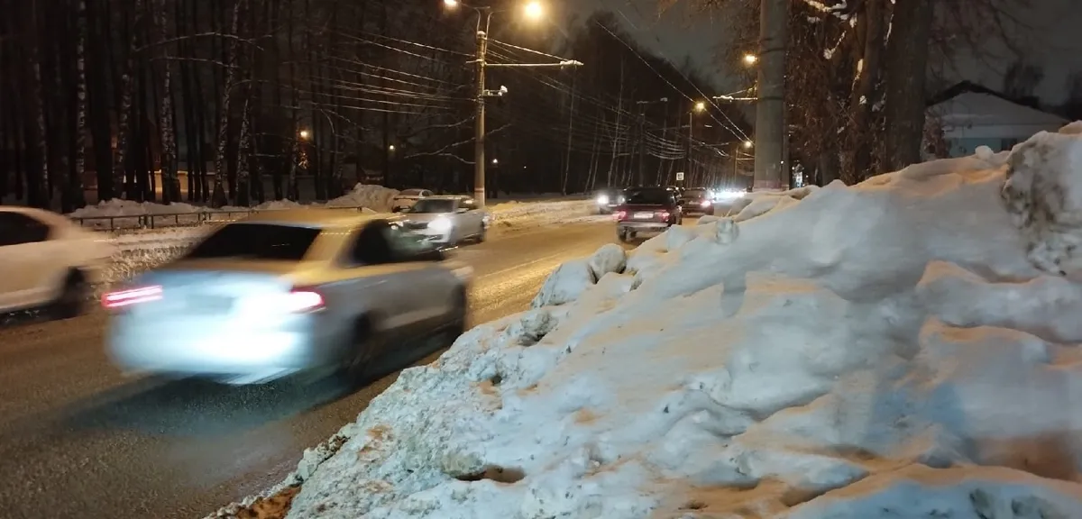 Мэр Кузнецка поручил убрать трупы кошек с обочин дорог