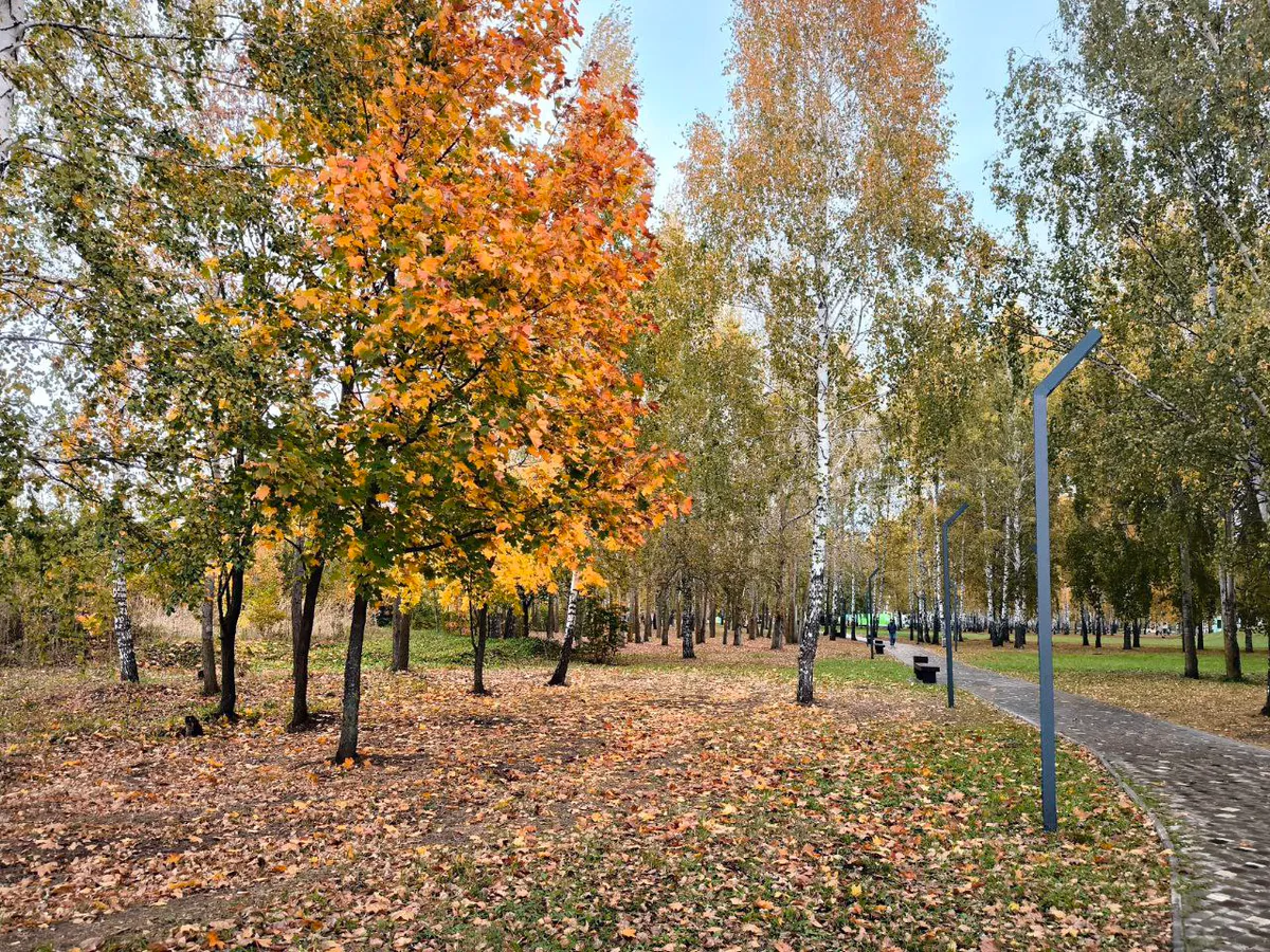 Прогулки по Нижнекамску станут приятнее: в парке «Семья» ремонтируют экотропу