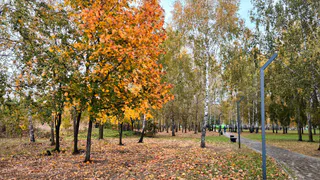 Прогулки по Нижнекамску станут приятнее: в парке «Семья» ремонтируют экотропу