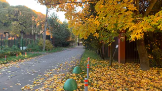 Ждем вспышек класса Х? Озвучен точный прогноз магнитных бурь на ближайшие дни октября - готовимся