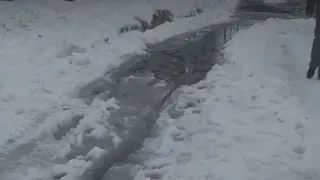 Гулять невозможно: рязанцы пожаловались на нечищенный Лесопарк