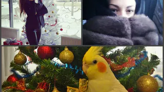 Инстаграм рязанцев: воздушный поцелуй, зимние холода и неподражаемый Птичкин