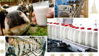 Владимирская область направит более 125 млн рублей на развитие сельхозпредприятий в 2025 году