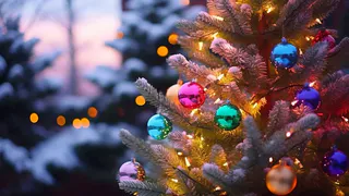 Жители Владимирской области за срубленную ель могут заплатить до 300 тысяч рублей