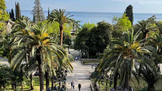 «Злые люди, повсюду змеи, грязь и невкусная еда»: туристы делятся своим разочарованием от визита в Абхазию – искренний отзыв