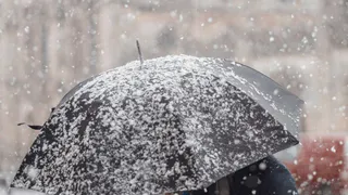Мокрый снег и туман: прогноз погоды на понедельник