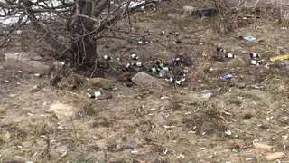 В Канищево из под снега появилась гора мусора