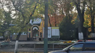 В Пензенском зоопарке сурикатам предложили коробку с сеном и картонный тоннель