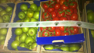 Россельхознадзор уничтожил 578 килограммов овощей и фруктов