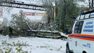 В Александровском районе 2,5 тысячи жителям перекрыло подачу электроэнергии