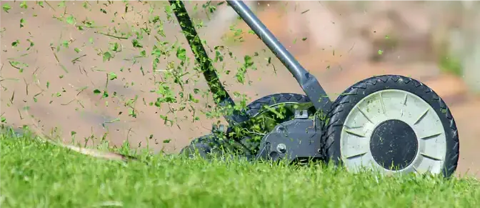 "И зачем так маяться, убери леску с триммера": сосед подсказал, как просто и легко косить траву, не покупая дорогую леску