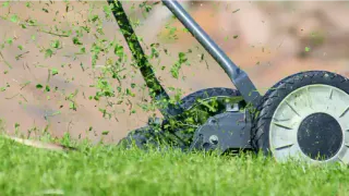"И зачем так маяться, убери леску с триммера": сосед подсказал, как просто и легко косить траву, не покупая дорогую леску
