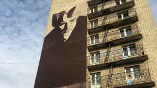 На здании общежития РГУ появился портрет Есенина