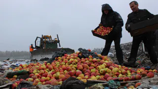 В Госдуме не поддержали законопроект о раздаче санкционных продуктов бедным