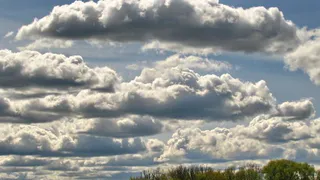 Жителей Брянской области 16 сентября ожидает температура до +19 градусов