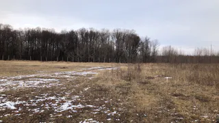 1 ноября в Рязанской области мокрый снег, гололедица и до +10