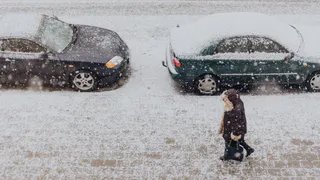 Природа сделает кульбит. Метеорологи рассказали, к чему готовиться в апреле и мае