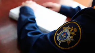 Жительница Пензенской области обвиняется в покушении на убийство