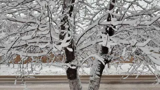 Прогноз погоды на неделю: весна сделала шаг назад