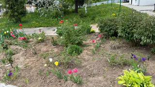 Единственный знак зодиака, который несовместим ни с кем: жить с ним рядом просто невозможно