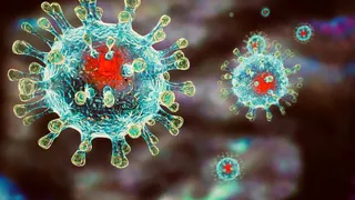 Брянскую область поставили в топ-10 по борьбе с коронавирусом