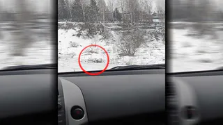 В Брянском районе разбилась и сгорела иномарка