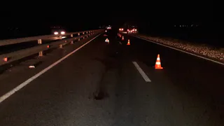 "Шансов выжить не было". На Солотчинском шоссе молодого парня сбили три машины подряд