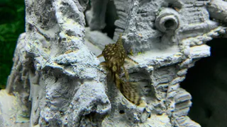 В Коми расширили перечень рыболовных участков