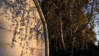 Прогноз гидрометцентра: в Татарстане будет +28