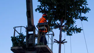 На Театральной площади в Рязани собирают новогоднюю елку