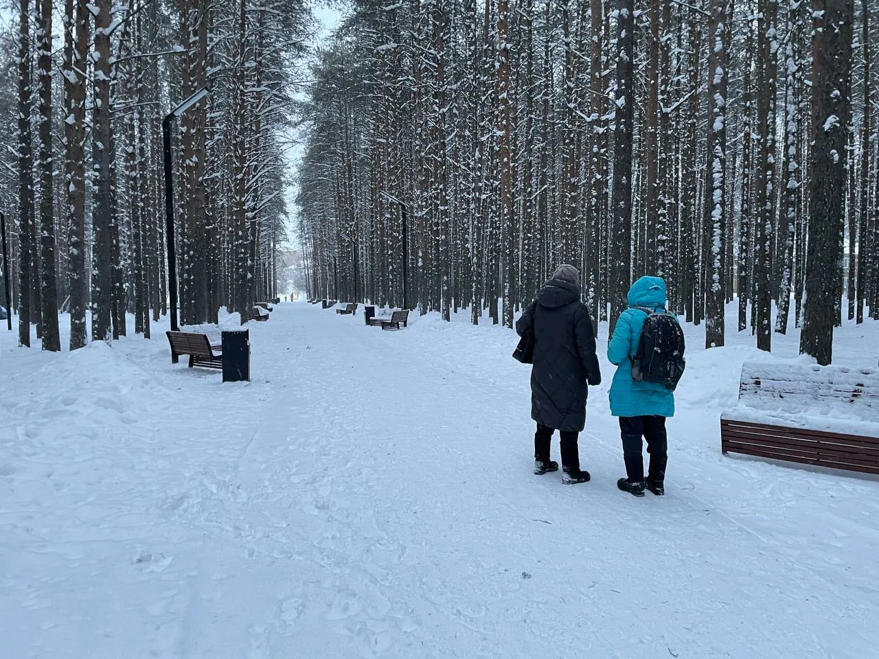 С 18 февраля теперь будет полностью бесплатно для всех пенсионеров. Вводится новая льгота