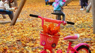 В Чувашии в субботу ожидается небольшой дождь и до +8°С