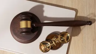 Хозяйка земельных участков, расположенных во Владимирской области, ответит за отсутствие ухода за ними