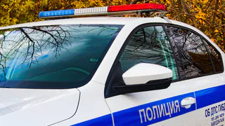 В Ряжске мужчина похитил импортное ружьё из сейфа