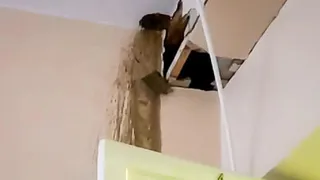 В Челябинской области канализационные стоки хлынули в больничную палату