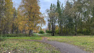 В Коми 7 октября потеплеет и установится сухая погода