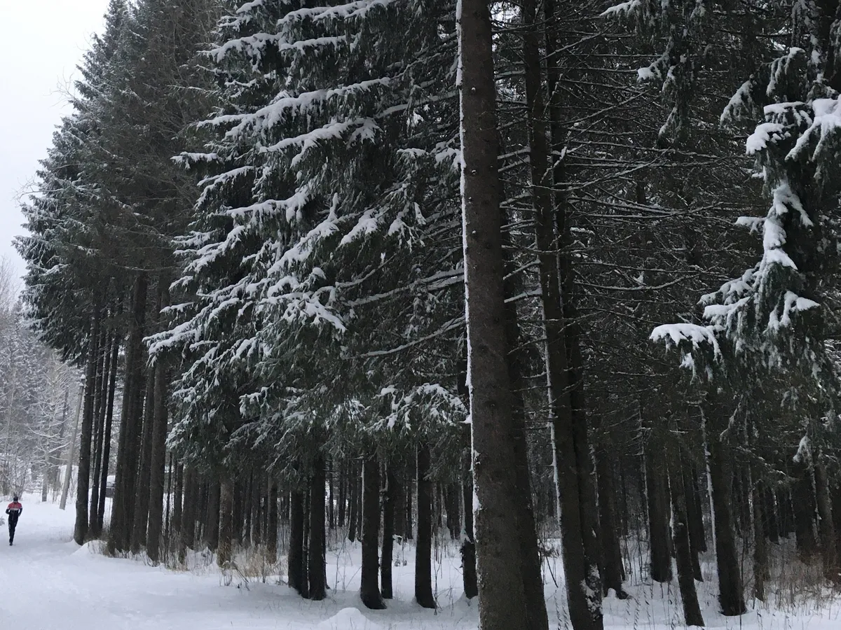 В Челябинскую область 9 декабря придут морозы до -23 градусов