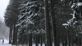 В Челябинскую область 9 декабря придут морозы до -23 градусов