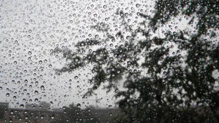 Непогода нынче в моде: в Рязани и области ожидается  резкое похолодание