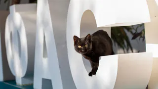 ФАС уличила Центр закупок Рязанской области в нарушении закона